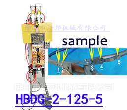 <span style='color:#3300CC'>2/鍍鋅扳手5點(diǎn)溶接定位機(jī)HBDN-2-125-5</span>